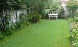 Landscaping Solutions Lawn and Turf